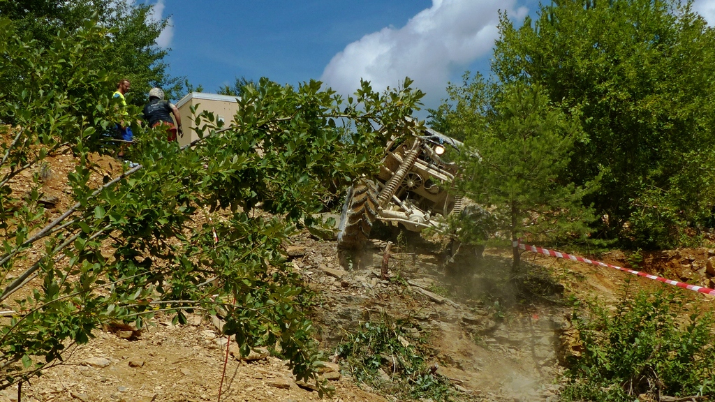 Steinbeissser a(4).jpg