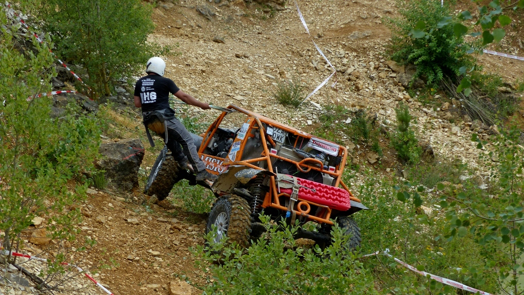 Steinbeissser (7).jpg