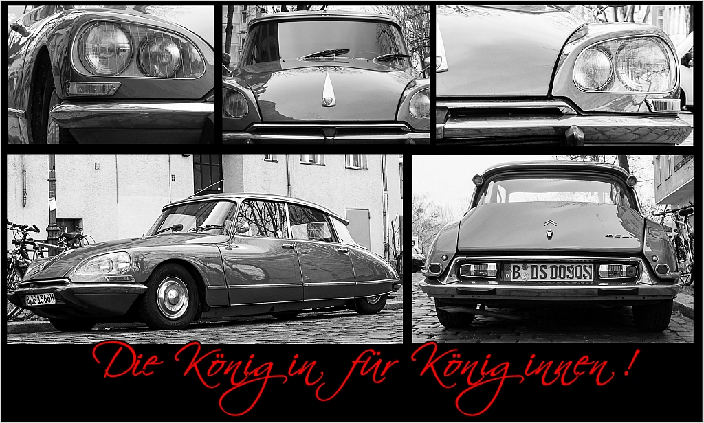 Die Königin für Königinnen_comp.jpg