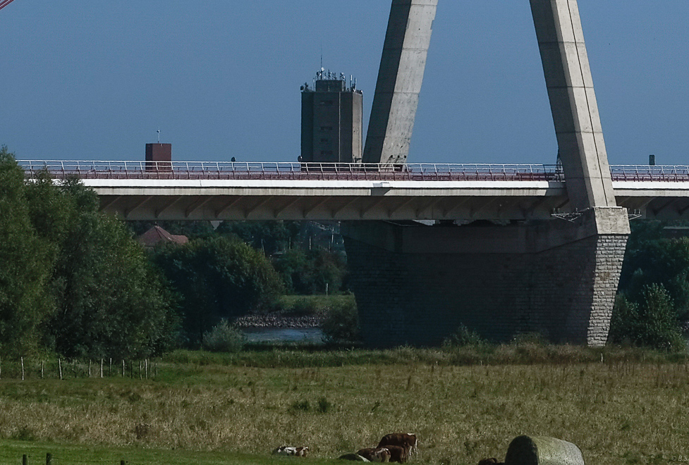 _DSF1565-2.jpg