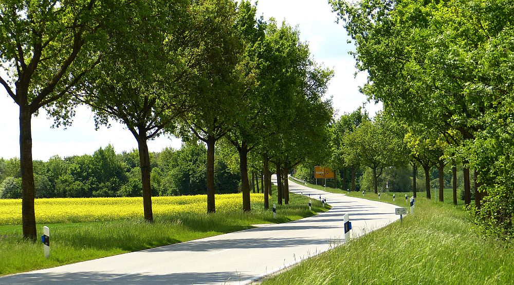 on the road again.jpg