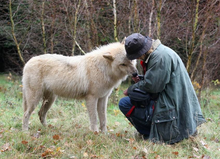 Akamay und Wolf -- -- Vertrauen.jpg