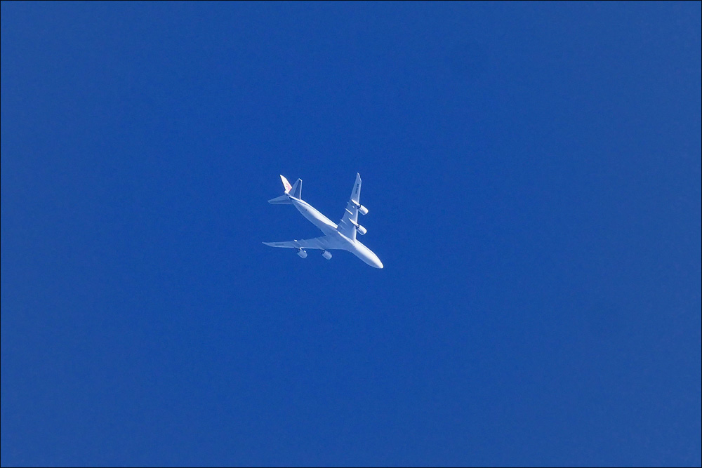spotting_tegel_92.jpg