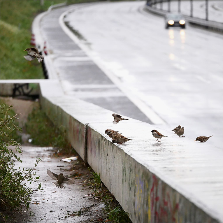 spotting_tegel_130a.jpg