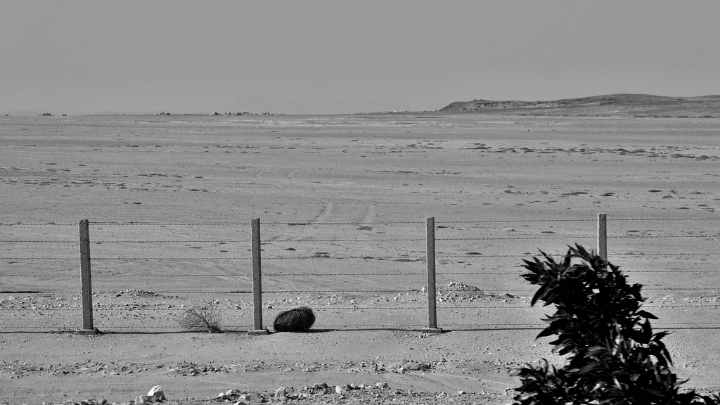 comp_P1020963 SW.jpg