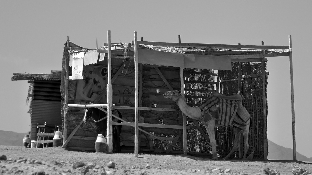 comp_P1030129 SW.jpg