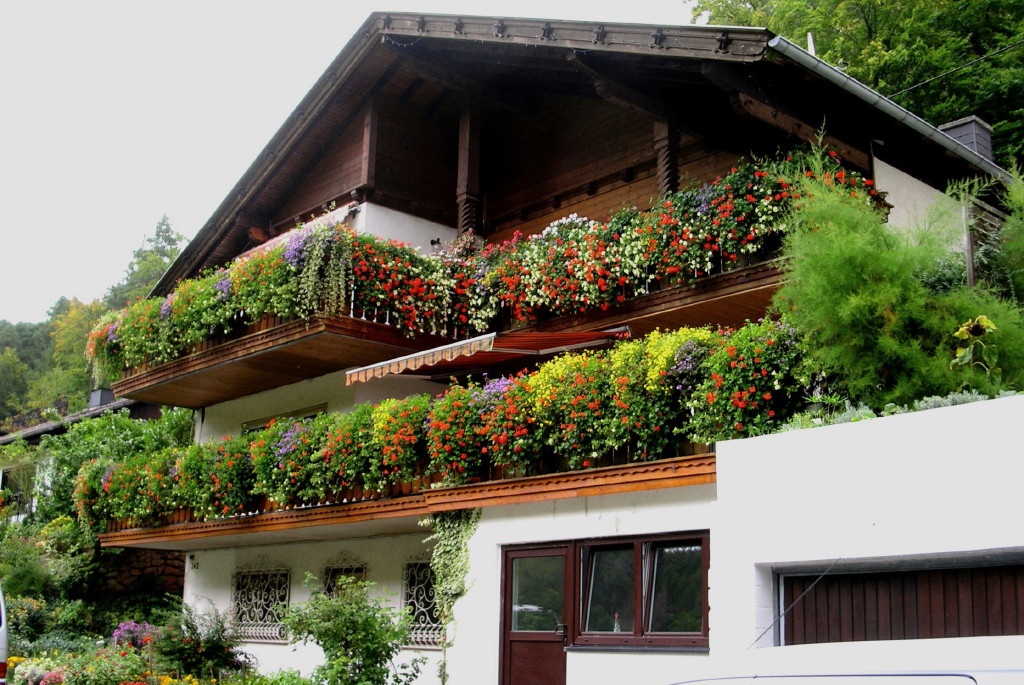 Blumenfassade_1_1.JPG