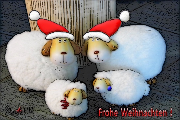 weihnachtsschafe-c2-quell.jpg