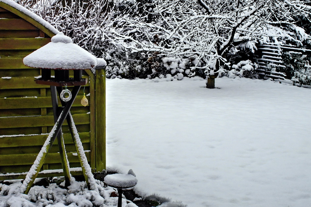 Der erste Schnee.JPG