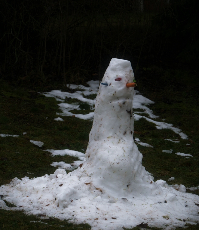 Schnee von Gestern.jpg