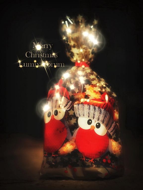 merryxmaslumixforumsm.jpg