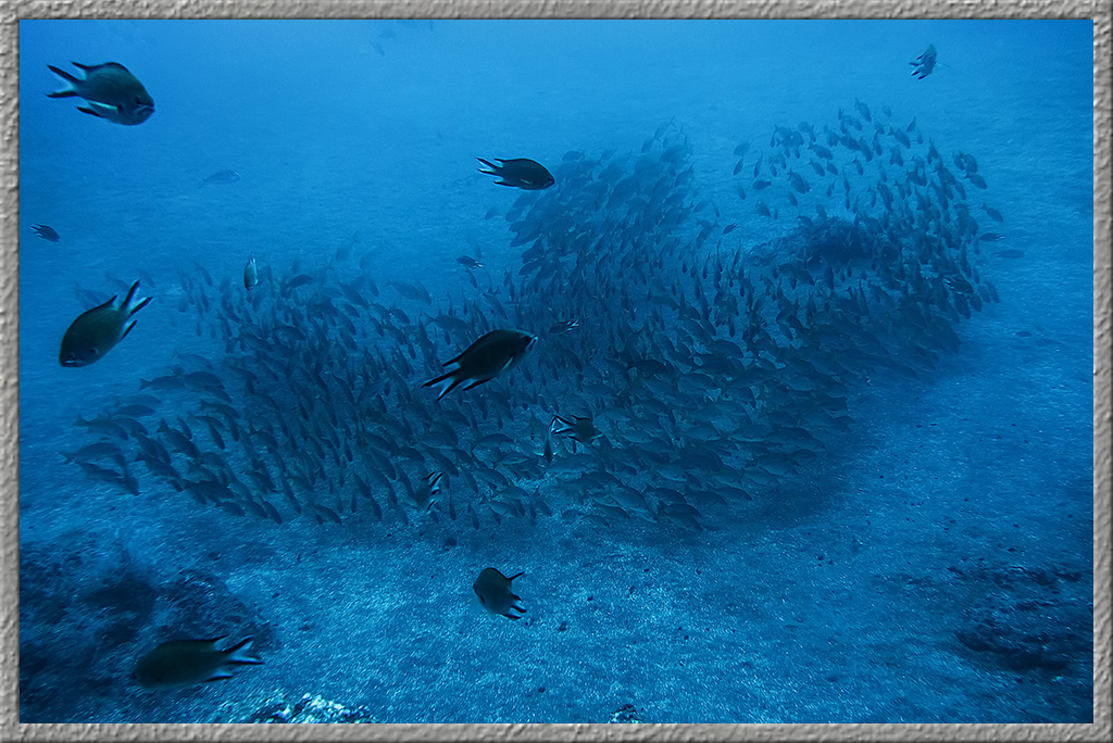 Fotoperle unter Wasser.jpg