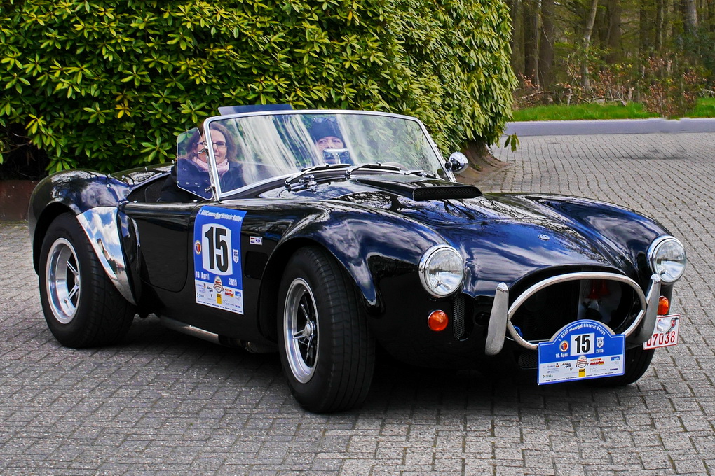 Cobra.JPG