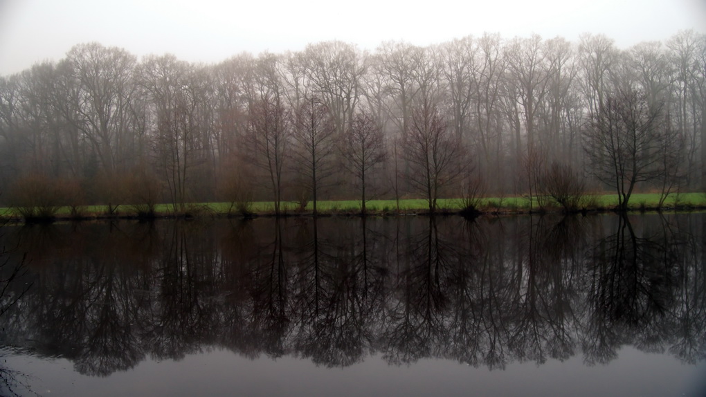 Am Teich.jpg