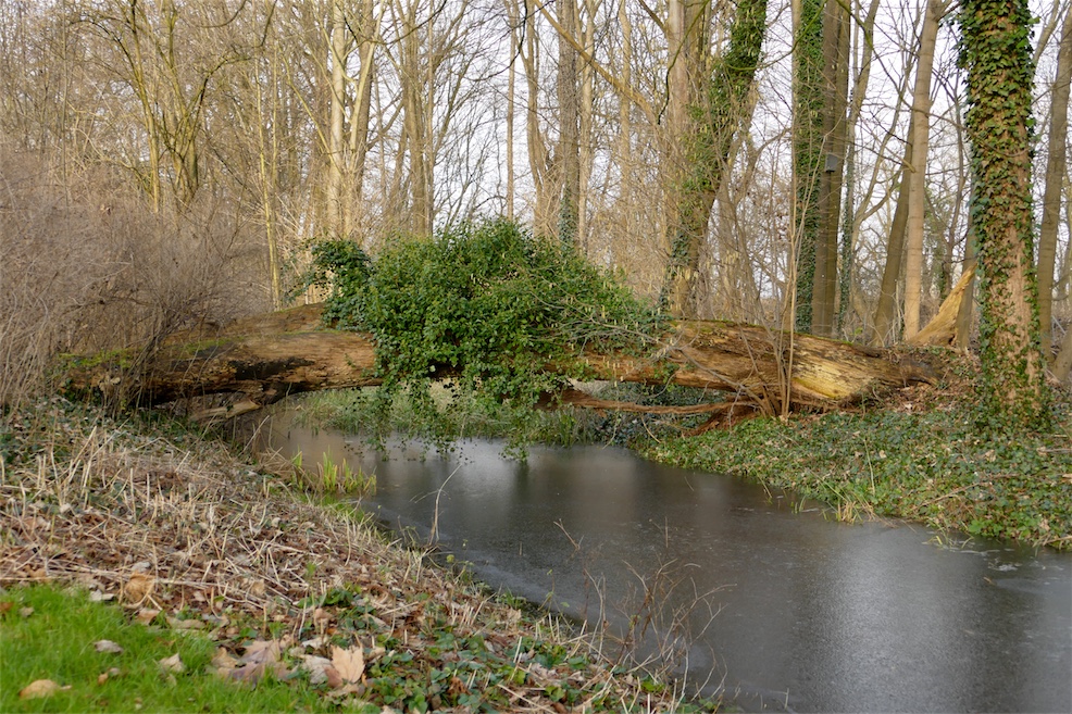 green-bridge.jpg