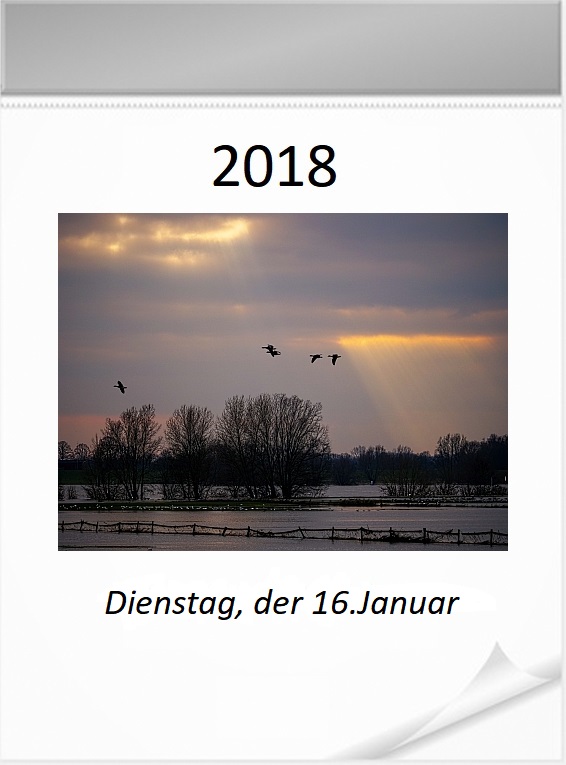 Hochwasser.jpg