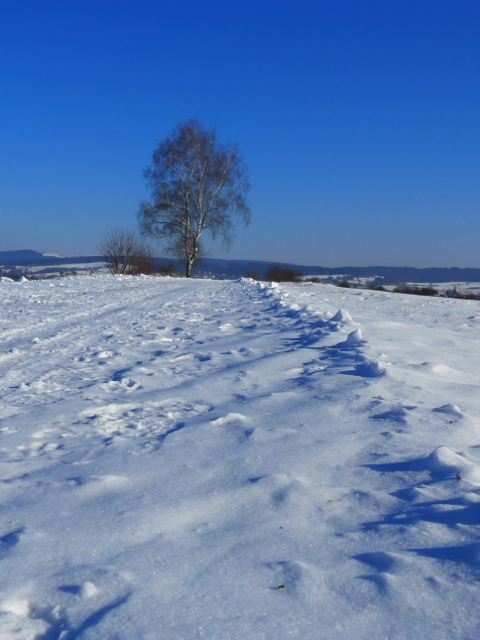 P1110492b2 (480x640).jpg