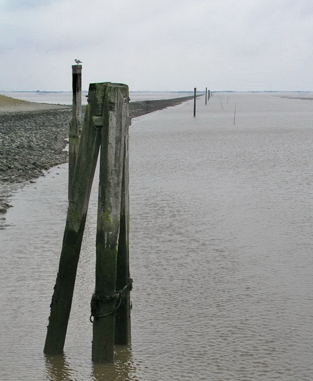 Neuharlingersiel Richtung Spiekeroog.jpg