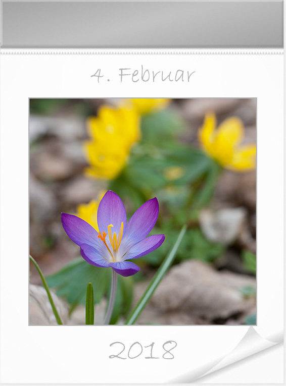 4_Februar.jpg