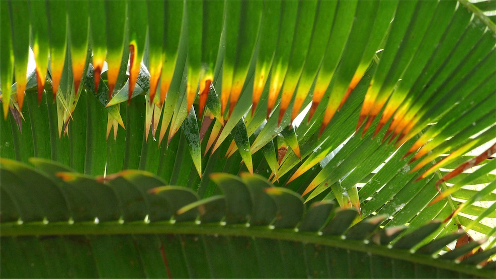 P2260180.jpg