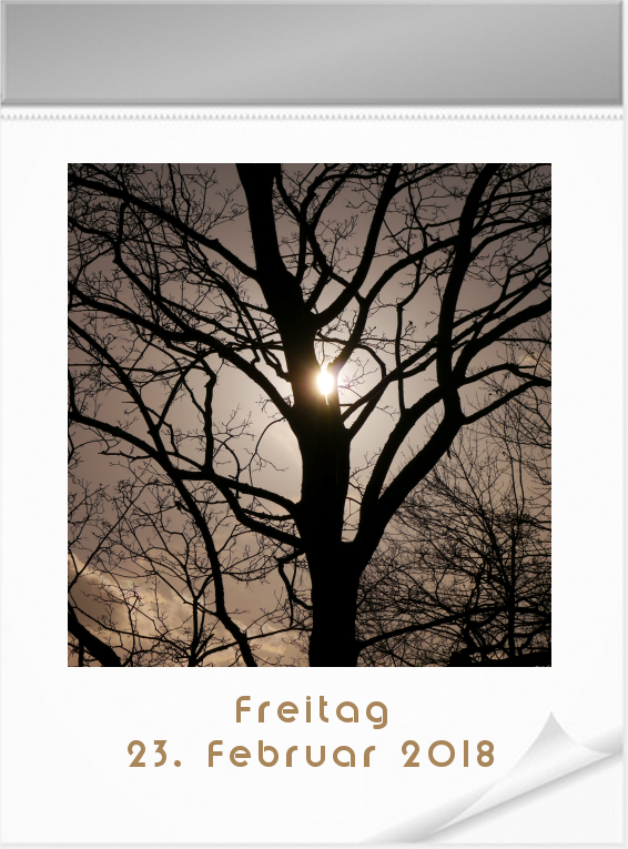 2018-02-23 Tageskalender.jpg