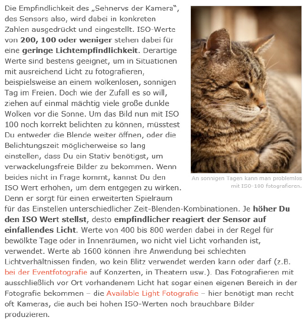 Der Sehnerv der Kamera_7_1.jpeg