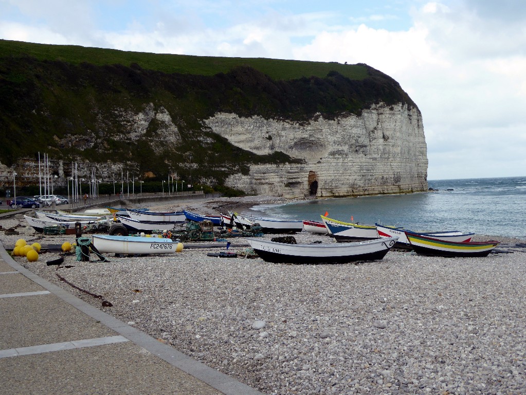 P1010052 1023x768.jpg