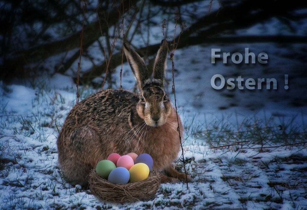 Osterhase.jpg