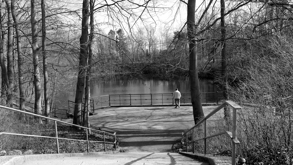 verkleinert .P1170351 sw.jpg