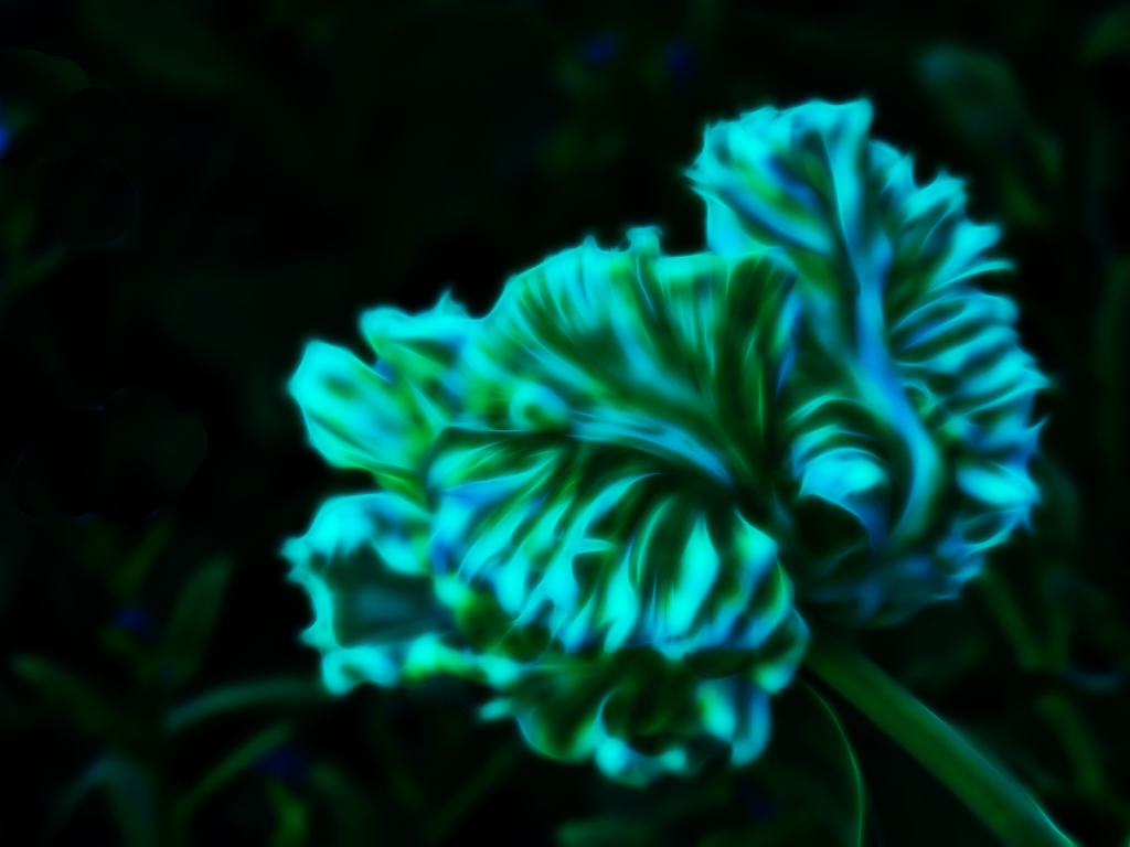 P3220102 Tulpe Fractalius verkleinert.jpg