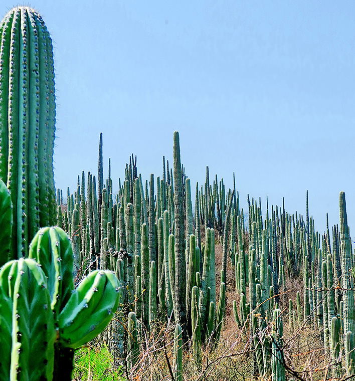 151100 IMG_0424.JPG k.jpg