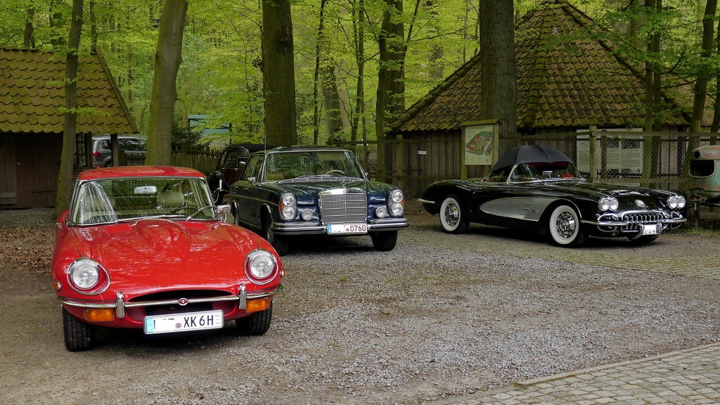 Jaguar E, MB 250 SE,Corvette C1.JPG