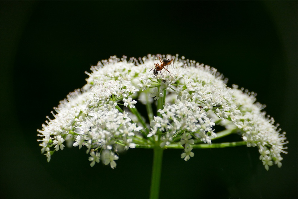 P2340778.JPG