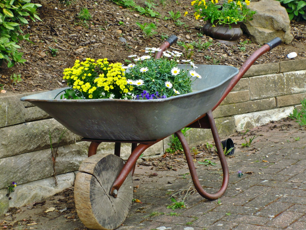 Blumen in ihrer..._1.JPG