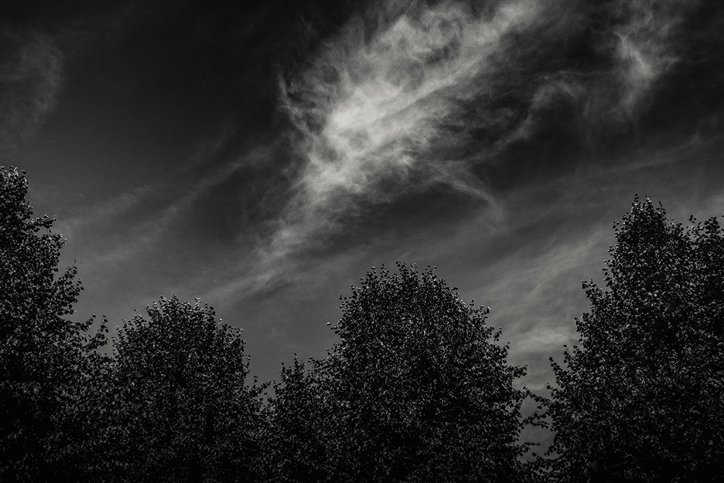 Bearbeitung von Der GImperator.jpg