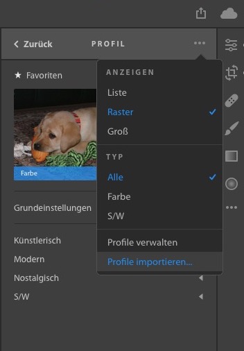 5.Profile importieren.jpg