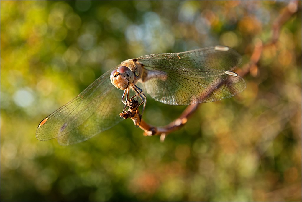 Freizeitpark-3.jpg