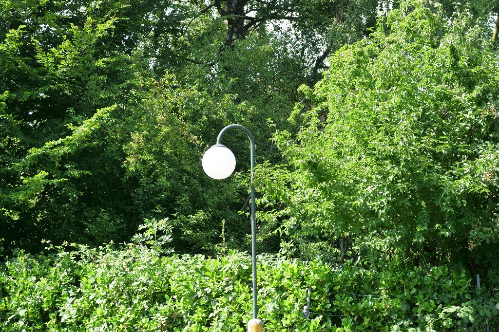 Lampe im guen.jpg