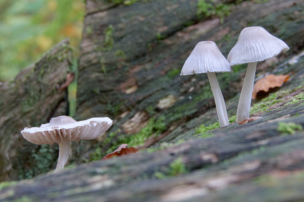 P1420674_DxO klein.jpg