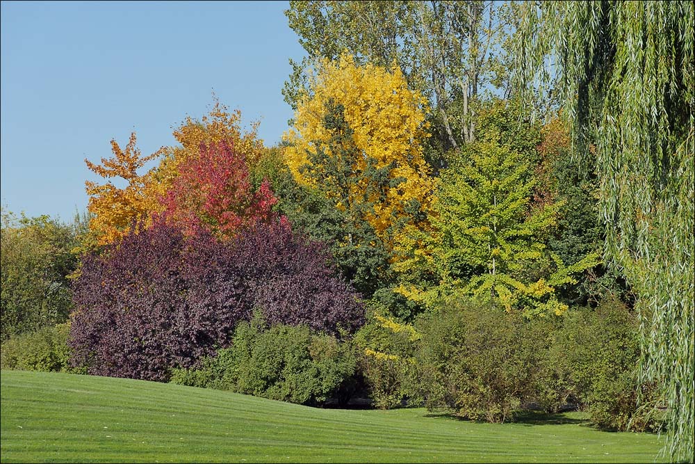 herbstfest_ep_marzahn.jpg