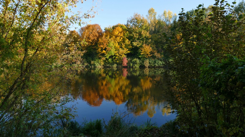 verkleinert .P1290624.jpg