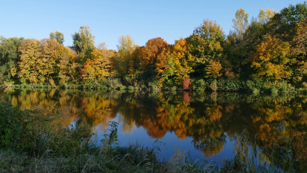 verkleinert .P1290627.jpg