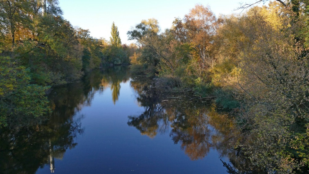 verkleinert .P1290639.jpg