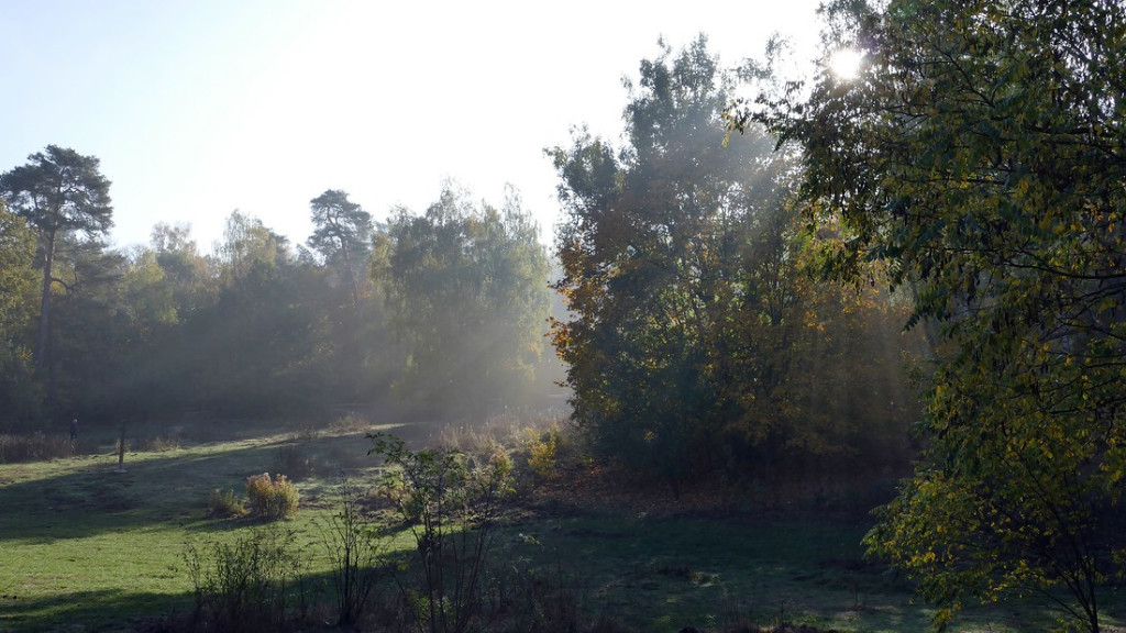 verkleinert .Nebel.jpg