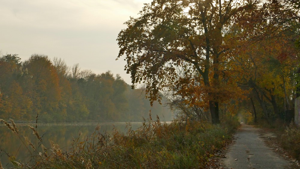 verkleinert .Herbst P1320126.jpg