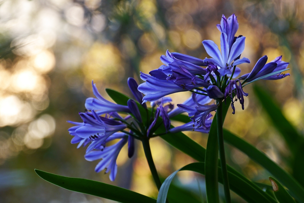 P1180618 - Kopie.JPG