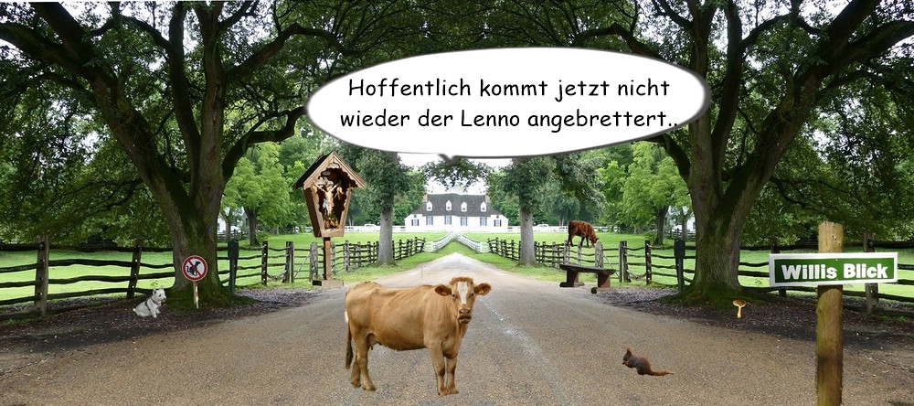 verkleinert .Abschuss Landstrasse xxx Lenno.jpg