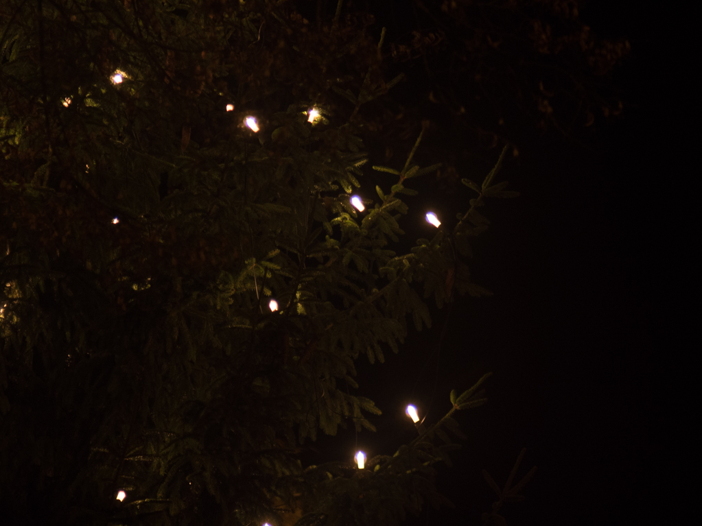 20181127-P1111814.JPG