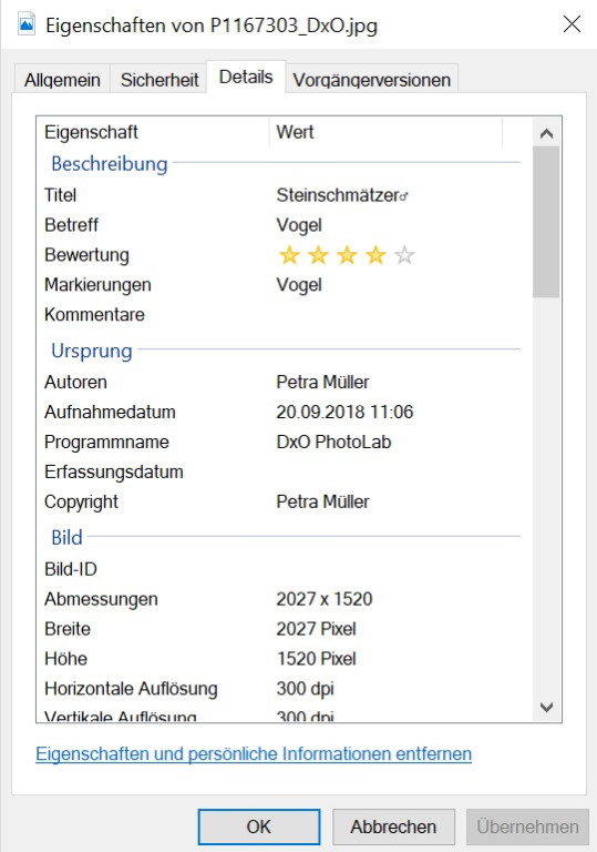 Beispiel_Bilddaten.jpg