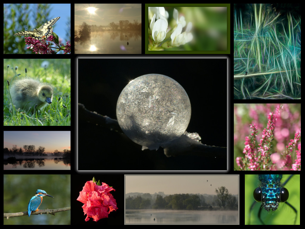 Collage best of 2018.jpg